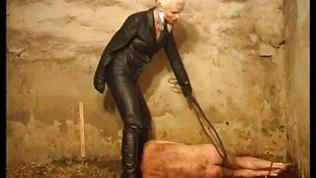 Briana poilue porno de femme et chien en lingerie noire