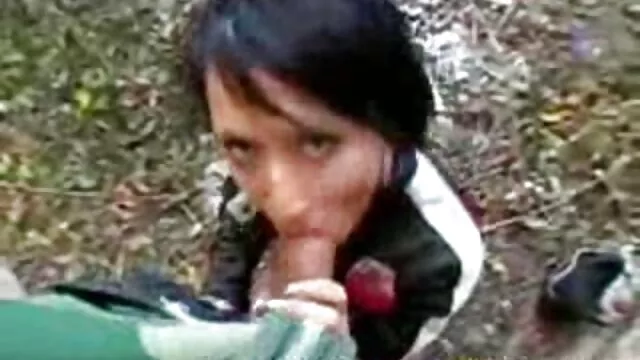 Gracie x porno de chien glamour