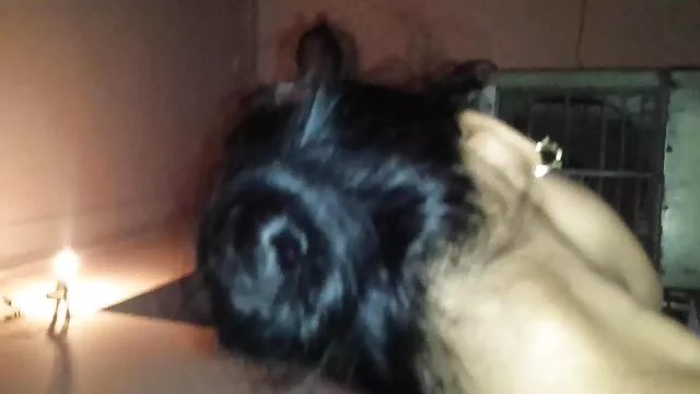 Ariel piper porno de cheval avec une femme