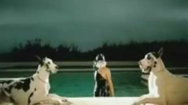 Femme latine chaude branle son manda porno fille garçon