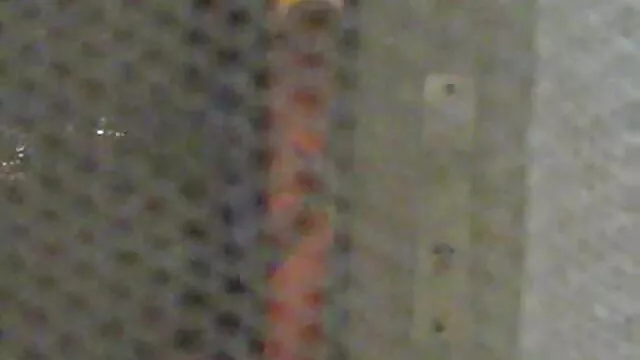 Petit caprice video x gratuit mature